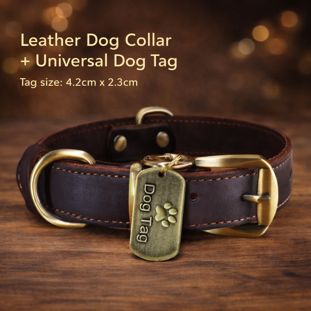 Custom Leather Dog Collar with Engraved Brass Name Tag & Bell – Personalized Pet ID for Small, Medium & Large Dogs - Image 3