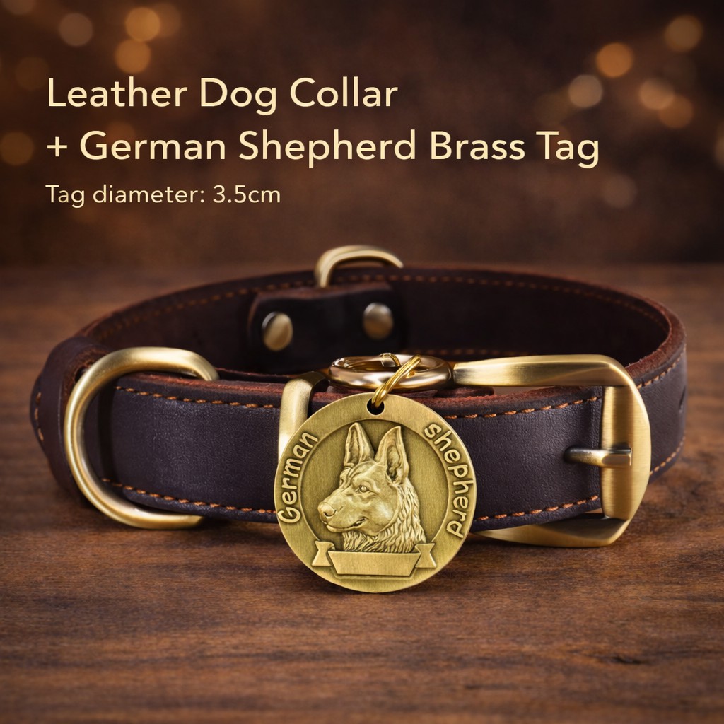Custom Leather Dog Collar with Engraved Brass Name Tag & Bell – Personalized Pet ID for Small, Medium & Large Dogs - Image 6