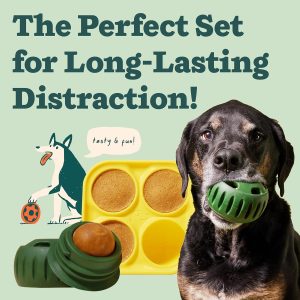 Pupsicle Interactive Dog Ball Toy & Treat Tray – Long-Lasting, Easy to Clean, for Medium & Large Dogs
