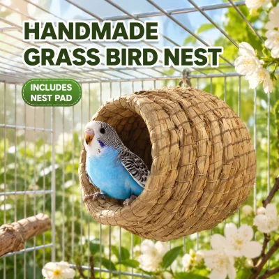 Handwoven Grass Bird Nest