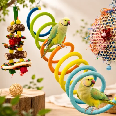 Colorful Spiral Bird Tunnel